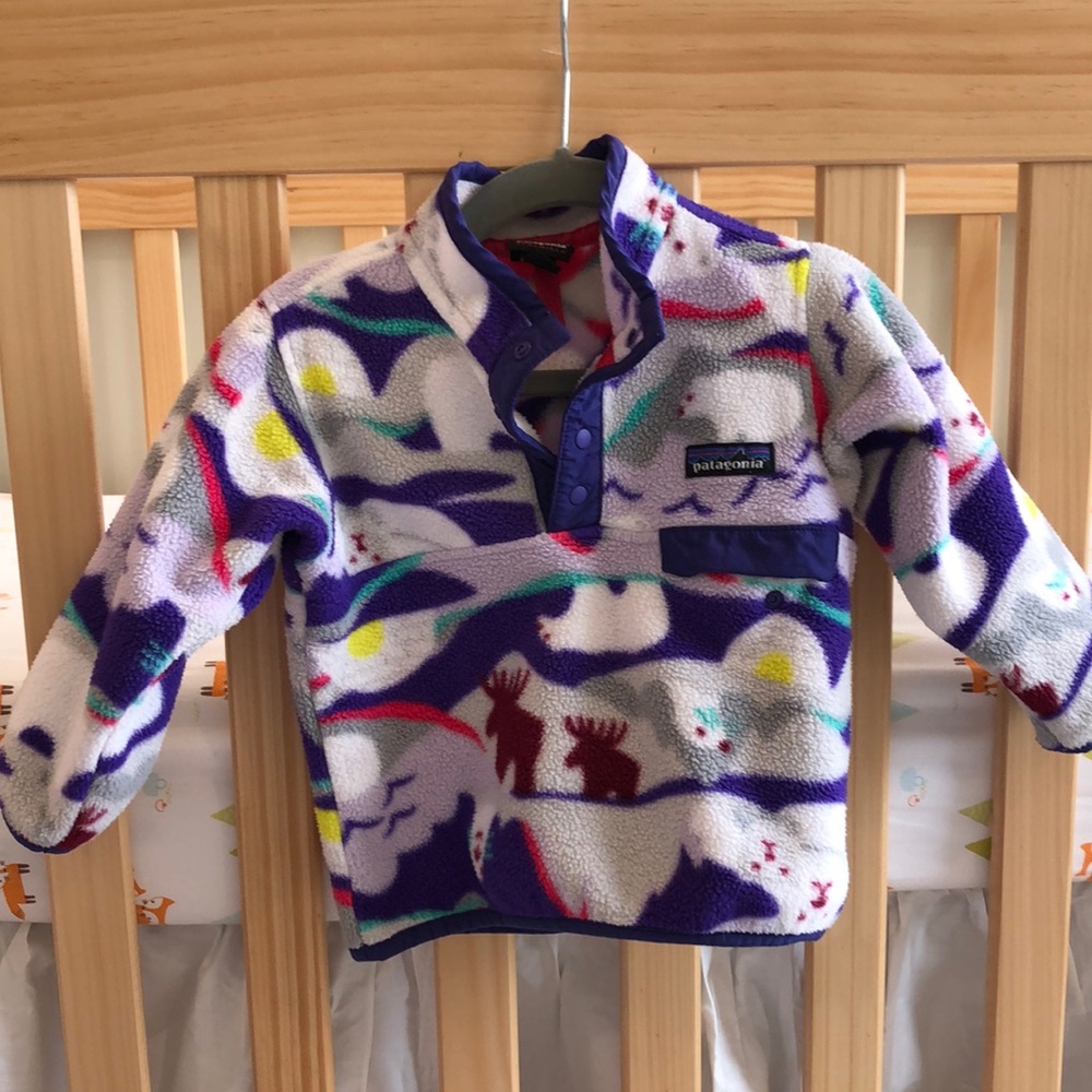 Patagonia pullover.